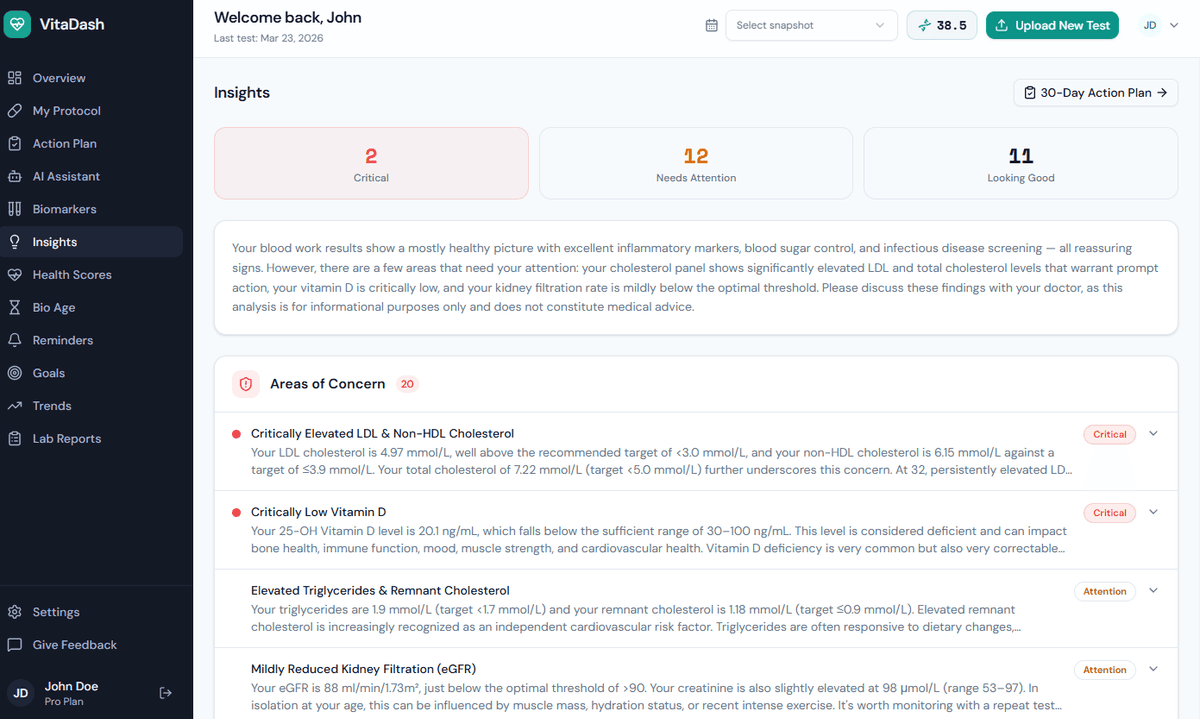 Insights & Action Plan